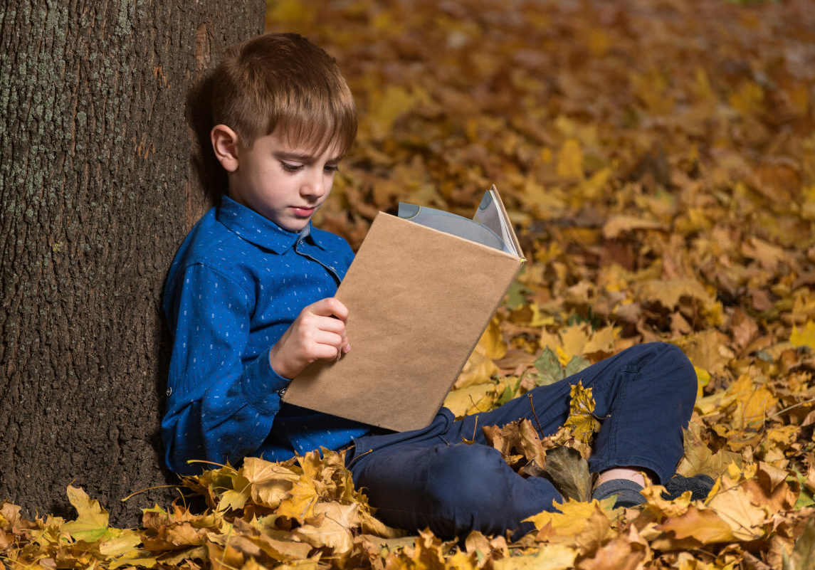 Boy sits in woods on fallen leaves and reading an exciting book. copy space. mock up.